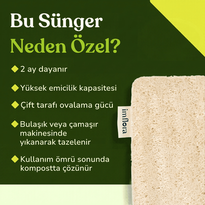 Doğal Selüloz & Kabak Lifi Bulaşık Süngeri